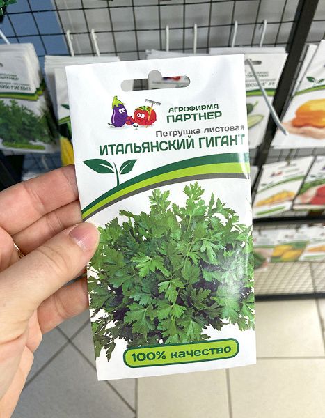 Петрушка Итальянский гигант